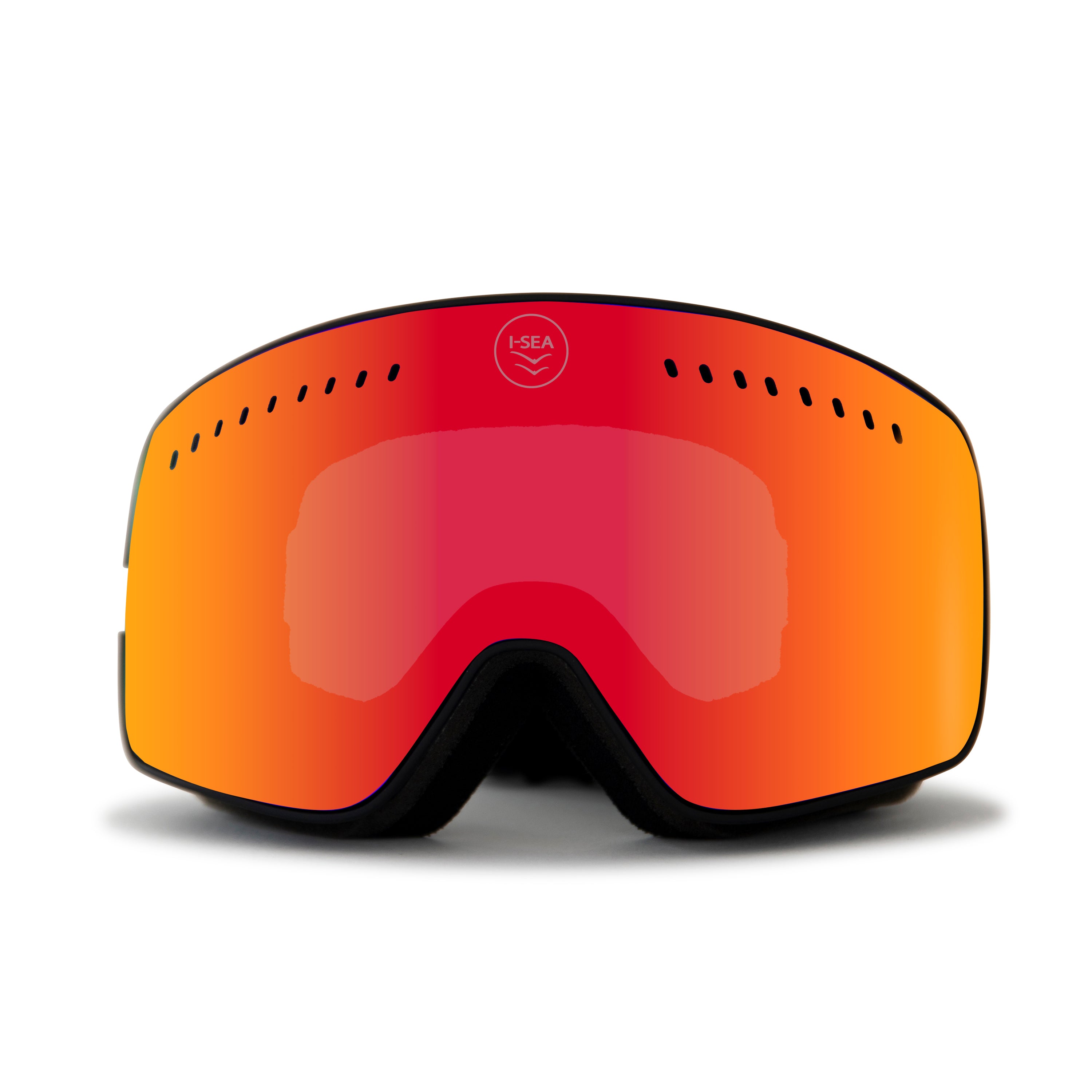 Snowbird