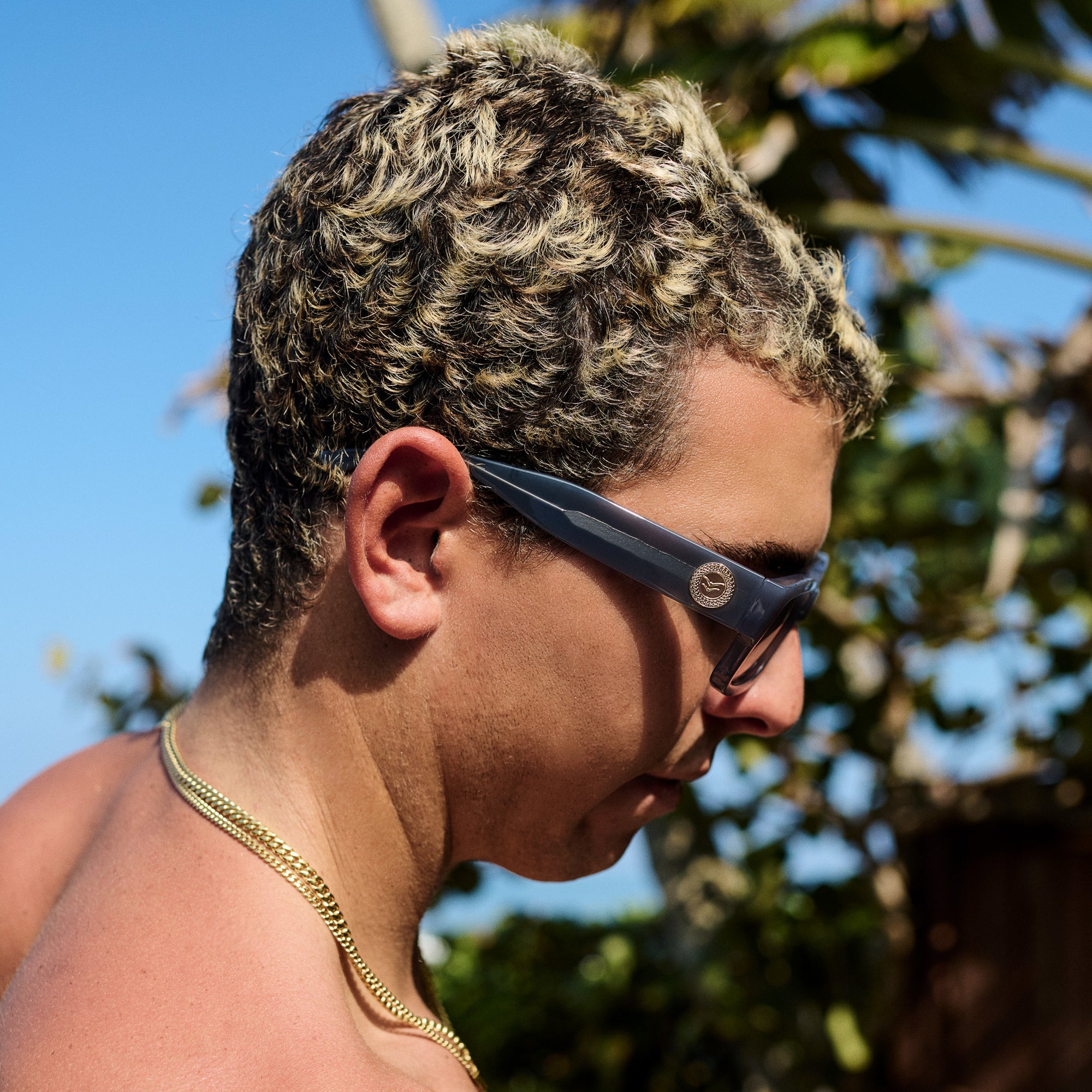 Cole Houshmand detalle