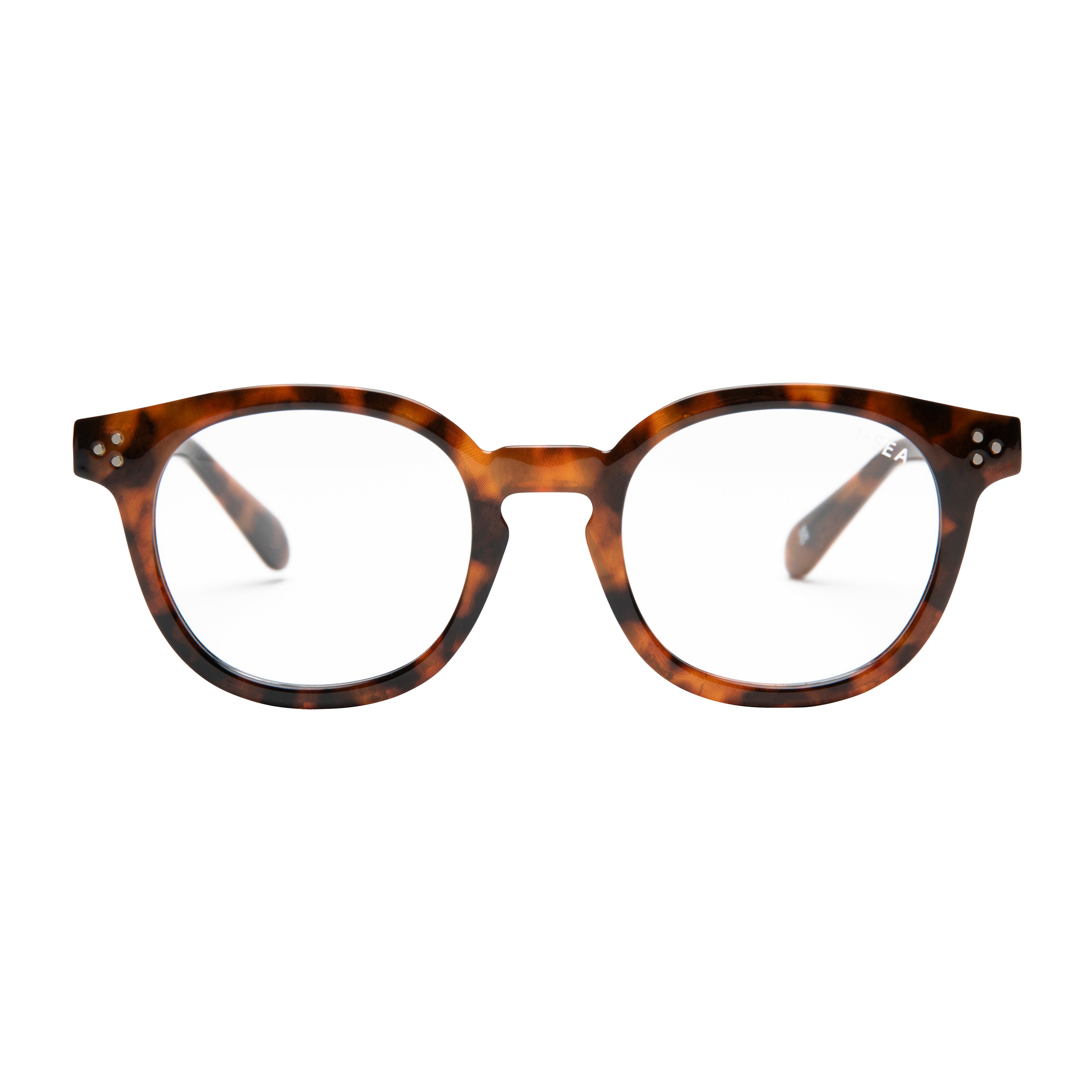 Hayden Readers Front #color_tort