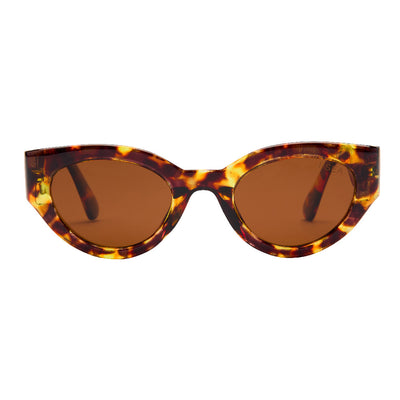 Ashbury Sunglasses in Tort / Brown - Detail 01 - 